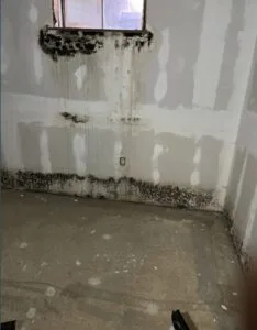 Signs of Water Damage in MO